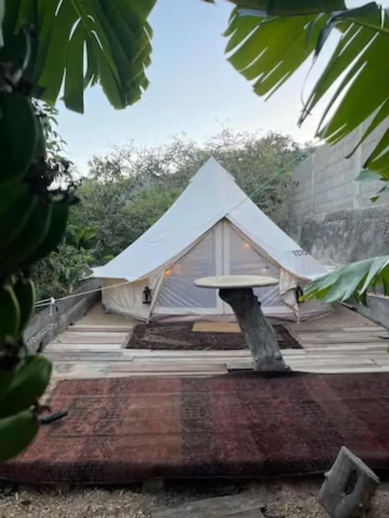 Yurt In Avocado Garden location