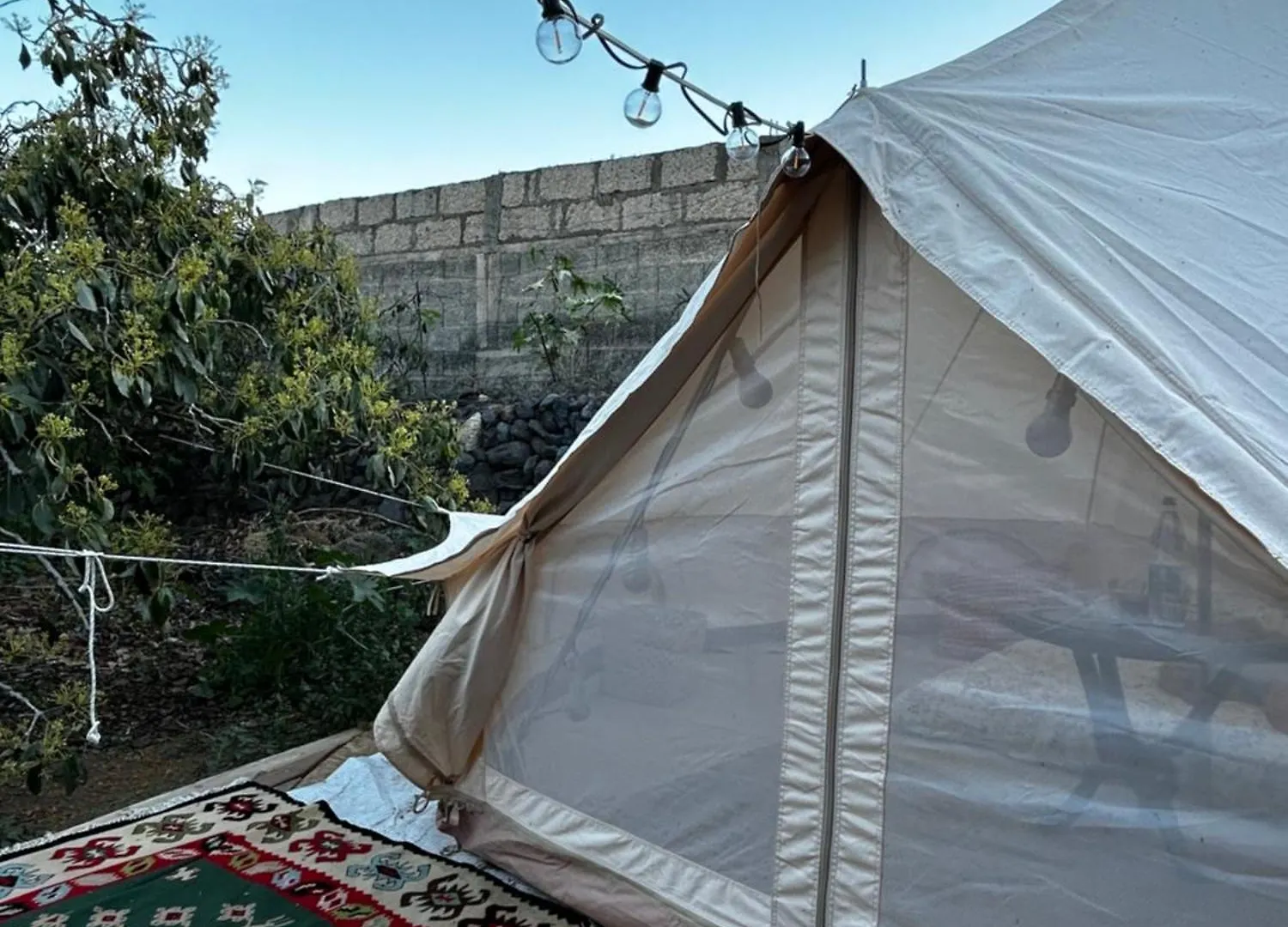 Yurt In Avocado Garden Hotel Guimar