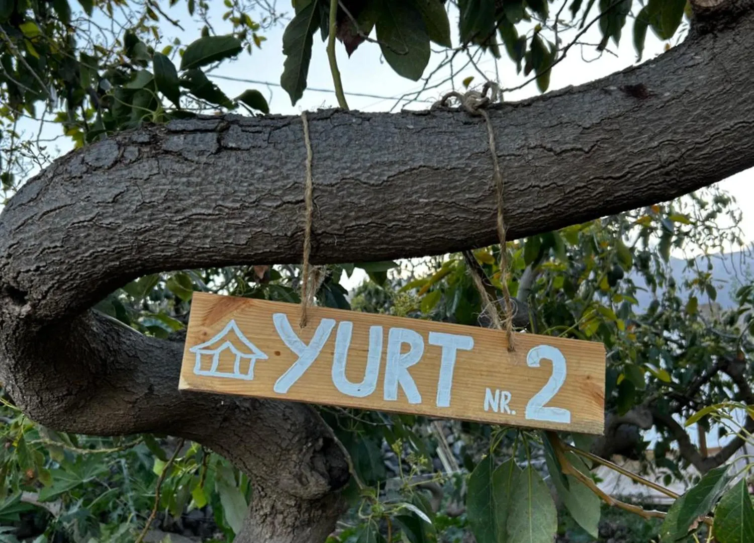 Yurt In Avocado Garden Hotel Guimar 0*,