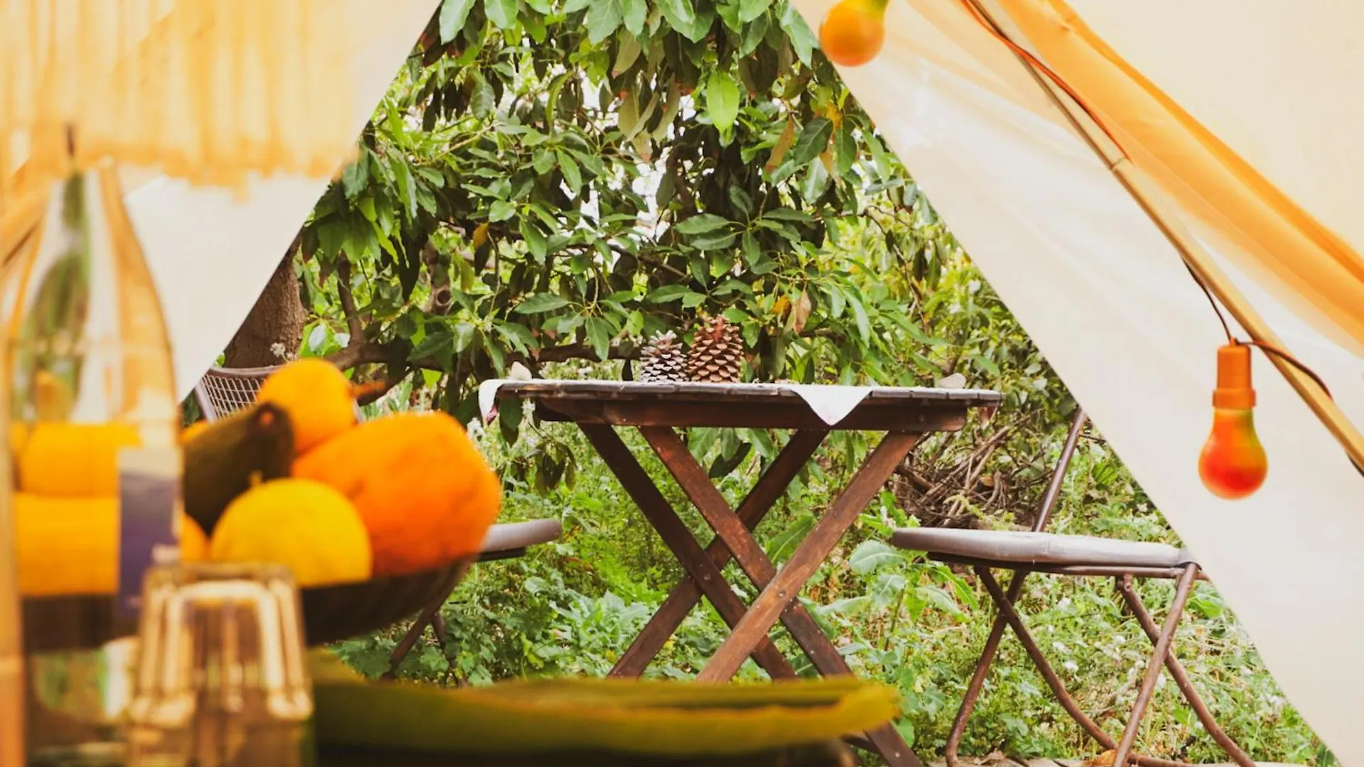 Luxury tent Yurt In Avocado Garden Hotel Guimar